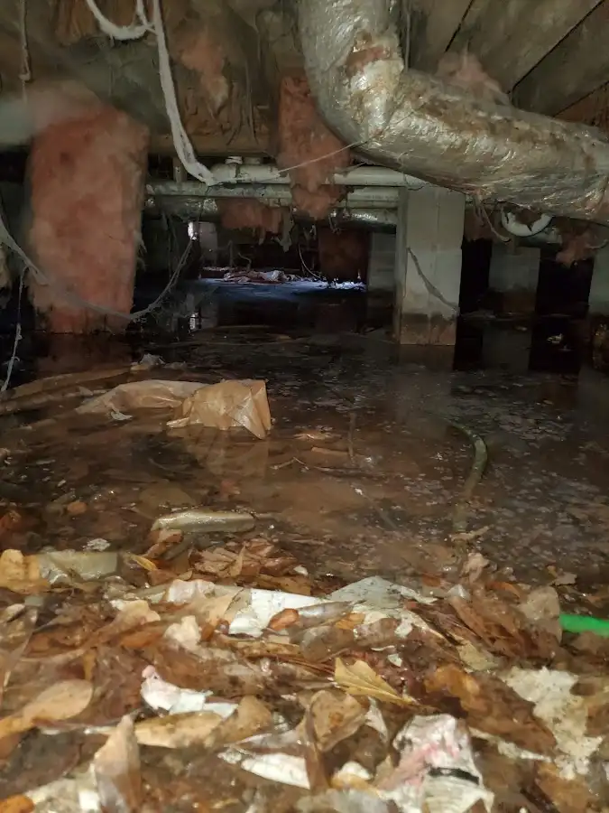 Crawl space flood assessment for Leak Detection & Repair in Pleasant Grove