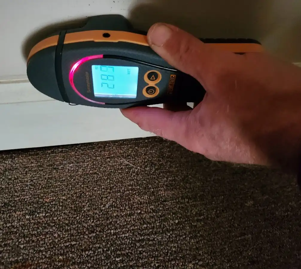 Moisture detection at baseboard during Burst Pipe Cleanup in Pleasant Grove